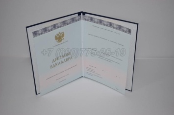 Диплом Бакалавра 2025г ООО "Знак" в Абакане