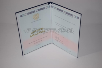 Диплом Бакалавра 2024г ГОЗНАК в Абакане