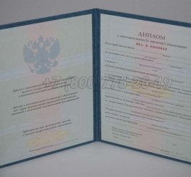 Диплом MBA 2022г в Абакане